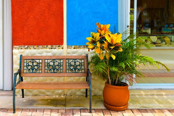 çiçek, duvar. ve tezgah