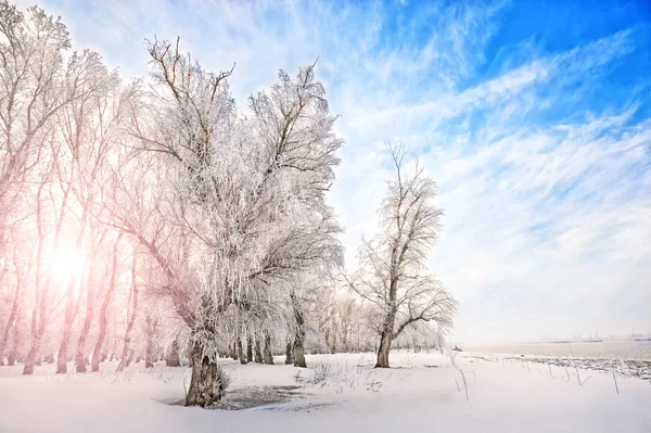 Kış saati — Stok fotoğraf