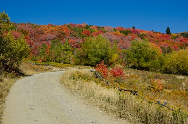 Autumn Dirt trail Stockafbeelding