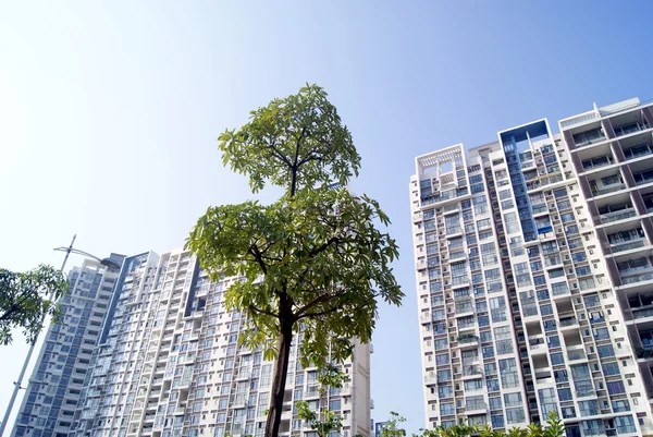 Edifícios da cidade, em Shenzhen, China — Fotografia de Stock