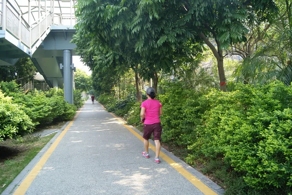 Strada verde, Shenzhen in Cina — Foto Stock