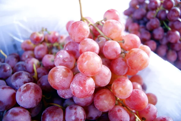 Grapes — Stock Photo, Image