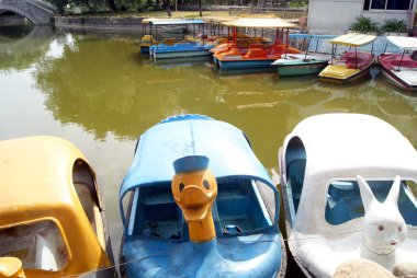 Shenzhen Çin: parkta küçük tekne