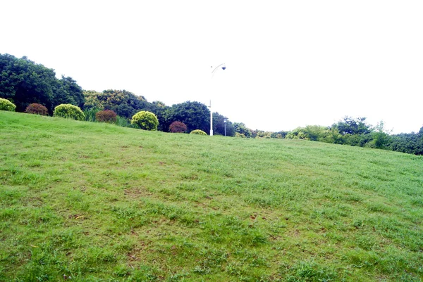 El césped y el paisaje natural —  Fotos de Stock