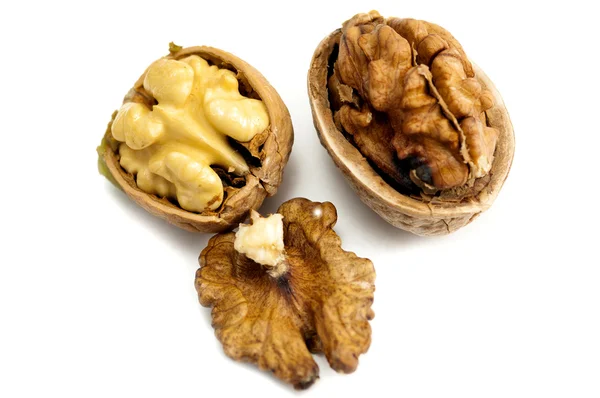 Nueces secas — Foto de Stock