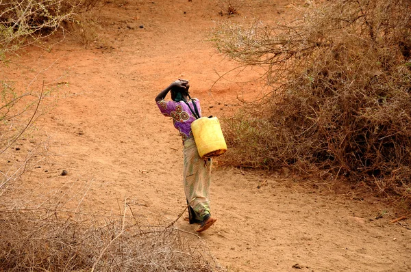 Afrikalı kadınlar su taşıyan