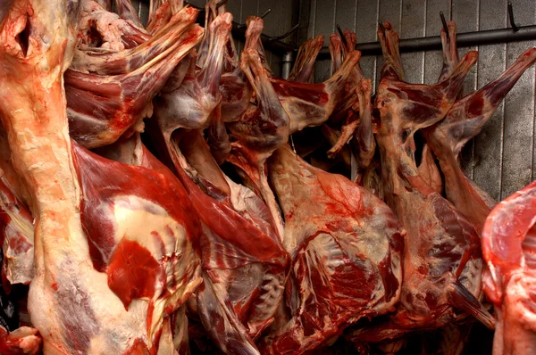 Fårkött hängande i kyllager — Stockfoto