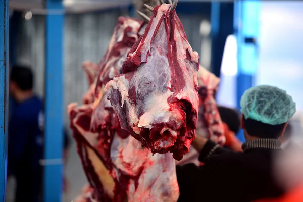 Crochet suspendu à la viande de carcasse, boucher — Photo