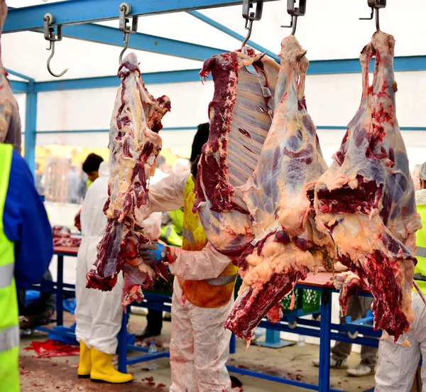 karkas et asma kancası