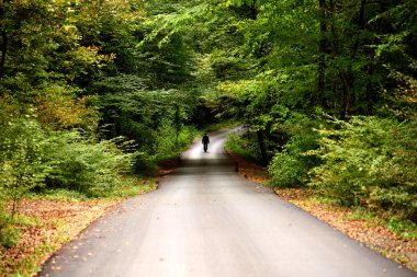Man walking alone on the road in the forest