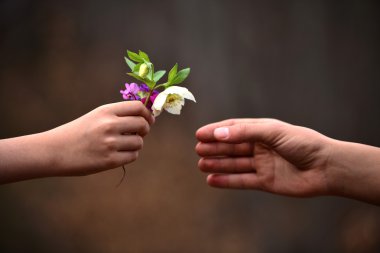 child's hand giving flowers to his father clipart