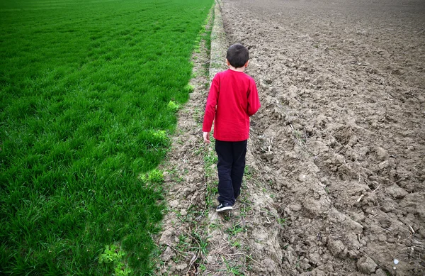 Boy walking and green agricultural with barren field — Stock Photo, Image