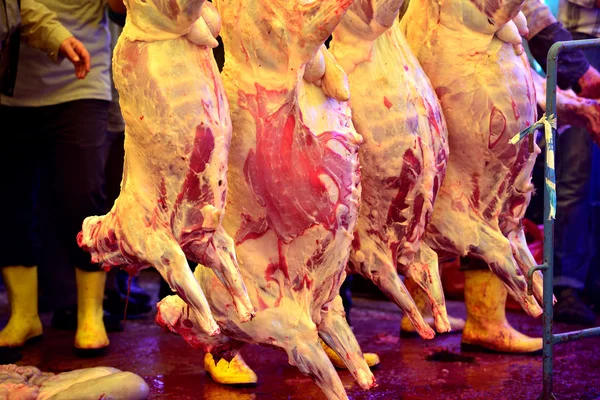 Alla fårkött hängande krok — Stockfoto