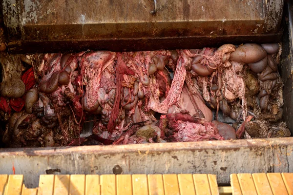 Animal intestino carregado caminhão de lixo — Fotografia de Stock