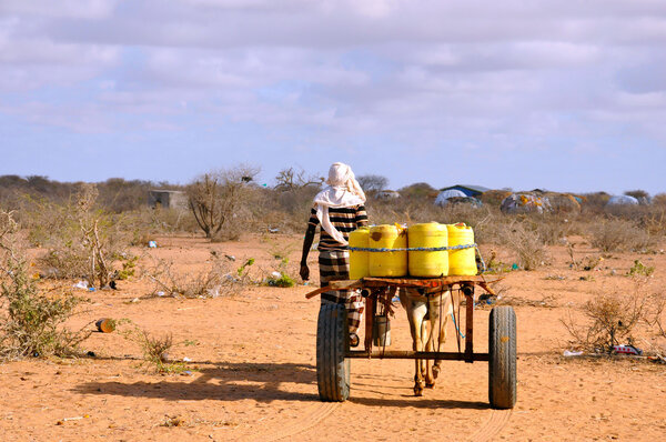 african male with horse-drawn carriage carrying water to the pri
