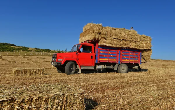 Bale of straw — Stock Photo, Image