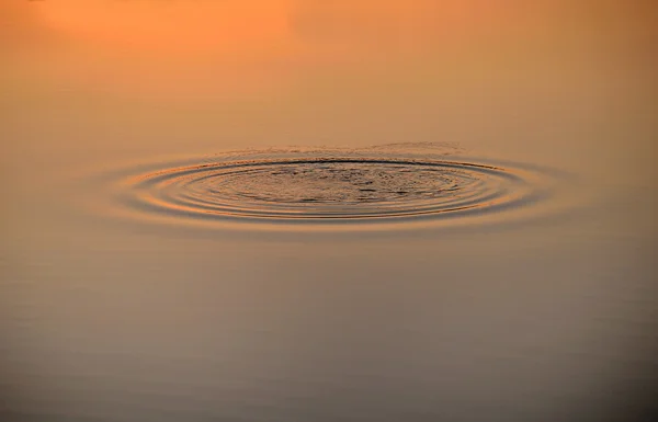 Vagues animées sur l'eau — Photo