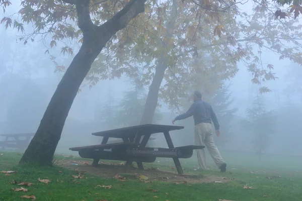 Depressed in fog — Stock Photo, Image