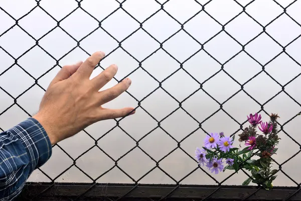 Clôture en fil tenant les mains et le fond — Stock fotografie