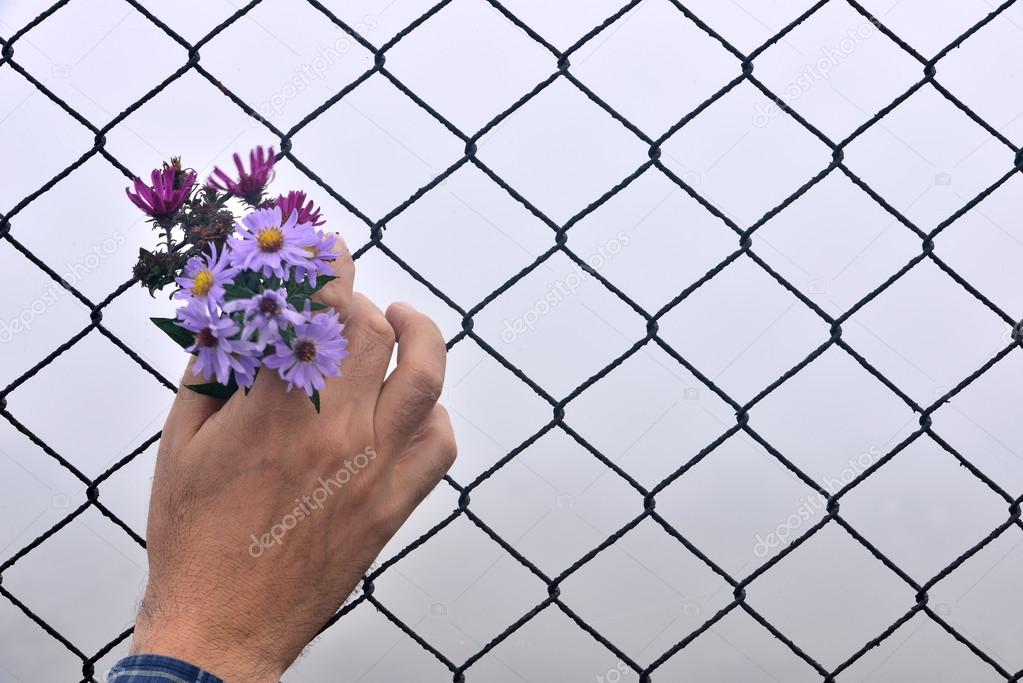 wire fence holding hands and background