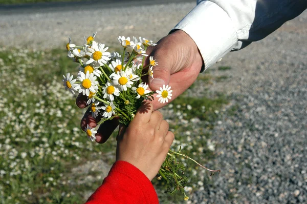 Child's hand giving flowers to his father — Stock Photo, Image