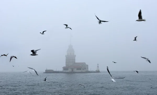 Maiden 's Tower in foggy morning Istanbul, Turkey — стоковое фото