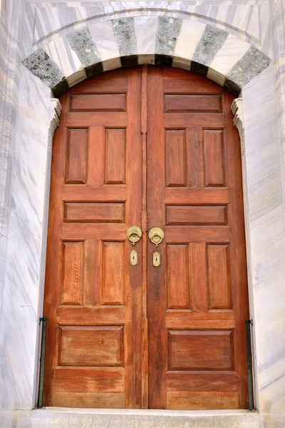 Old historic wooden door — Stock Photo, Image