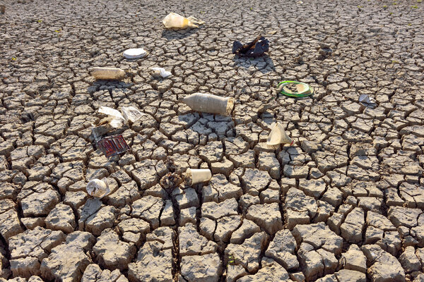 Сухая Земля - Аргументы и Факты
