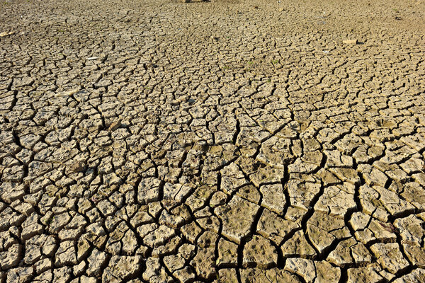 Сухая Земля - Аргументы и Факты
