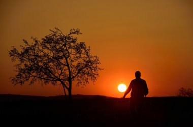 bir ağaç ve gün batımı arka planda bir adam silüeti