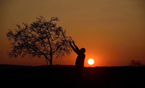 Silhueta de uma árvore e um homem ao pôr-do-sol fundo — Fotografia de Stock