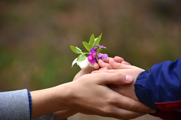 Child's hand giving flowers to his father — Stock Photo, Image