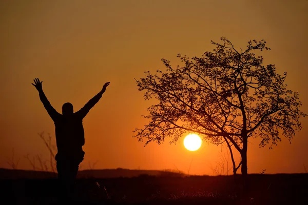 一棵树和一名男子在日落背景的剪影 — 图库照片