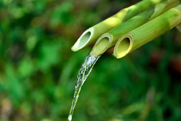 geleneksel bambu çeşme