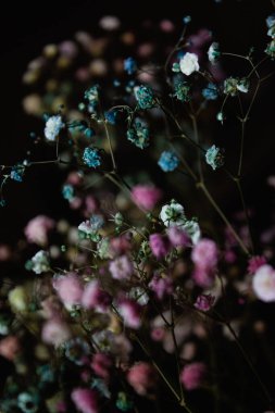 Beautiful photo in portrait format of bright summer flowers collected in a bouquet. Multicolored scale, on a dark background. Natural photo. Botanical Garden. 