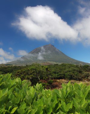 Volkan mount pico pico Adası