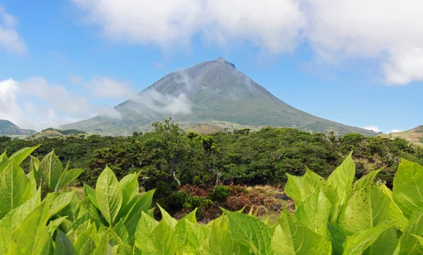 Vulkanen mount pico på pico island 02 — Stockfoto