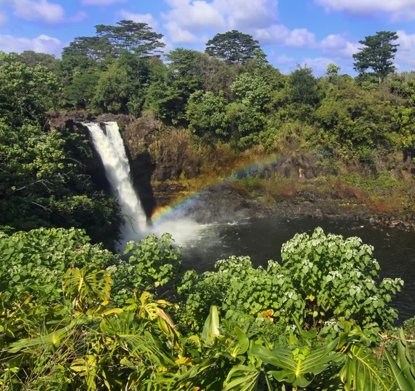 Rainbow falls (velký ostrov Havaj) — Stock fotografie