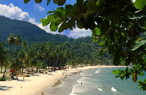 Beach of the Maracas Bay Trinidad — Stock Photo, Image