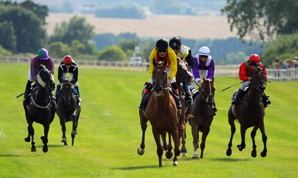 Paardenrace 02 — Stockfoto