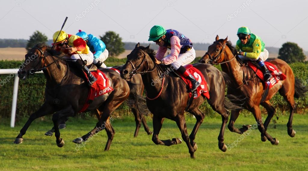 Corrida de cavalos 05 — Fotografia de Stock