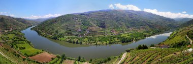 Valley of river Douro with vineyards near Mesao Frio (Portugal) clipart