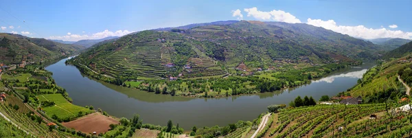Valle del río Duero con viñedos cerca de Mesao Frio (Portugal ) — Foto de Stock