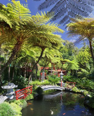 tropikal Bahçe monte Sarayı madeira, Portekiz