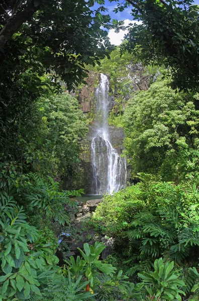 Wailua (maui, hawaii düşüyor)