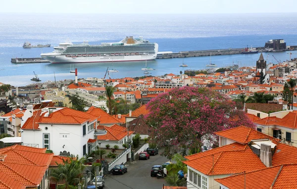 Funchal - madeira Limanı görüntülemek — Stok fotoğraf