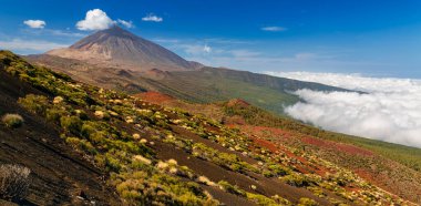 Volkan Teide ve Orotava Vadisi - Mirador La Crucita 'dan (Tenerife, Kanarya Adaları) 