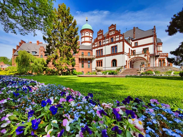 Paleis Van Wiligrad Bij Schwerin Duitsland Achter Een Bloemenveld — Stockfoto