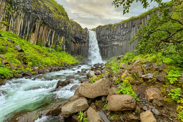 Waterfall Svartifoss Vatnajkull National Park Iceland — 스톡 사진