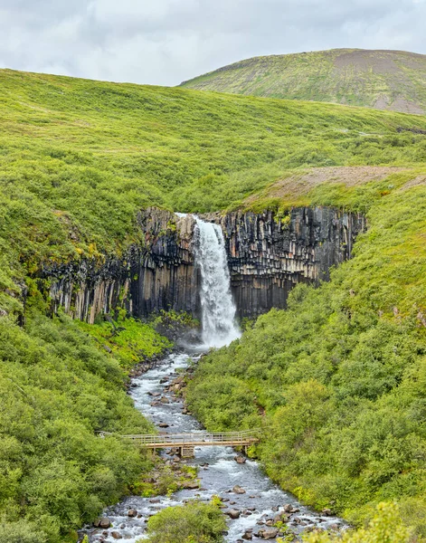 Way to Waterfall Svartifoss at Vatnajkull National Park in Iceland